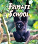 PrimateSchool_187