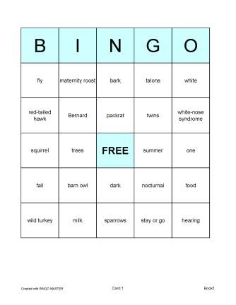 Download the Bingo Cards