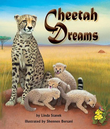 CheetahDreams